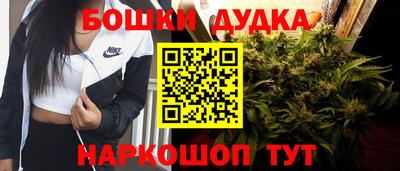 сатива Обнинск