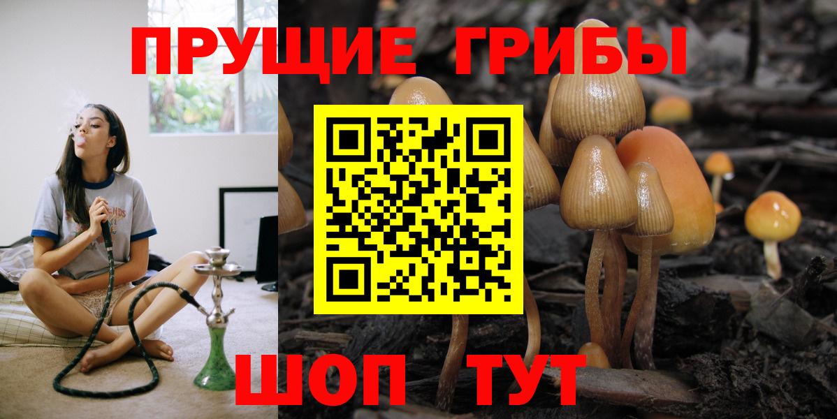 Псилоцибиновые грибы ЛСД Сибай