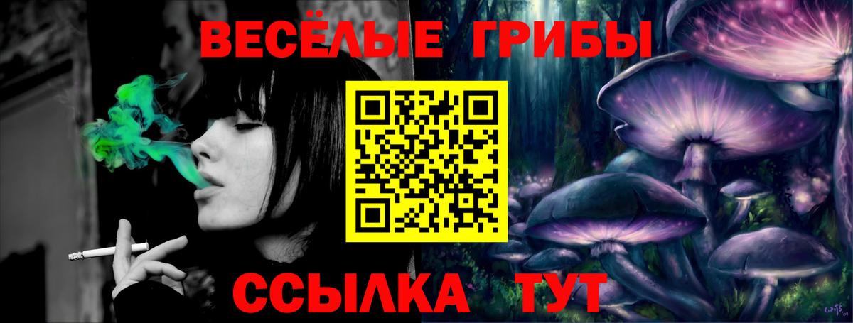 Галлюциногенные грибы ЛСД  Галлюциногенные грибы Psilocybine cubensis  Сибай  Вход с VPN 